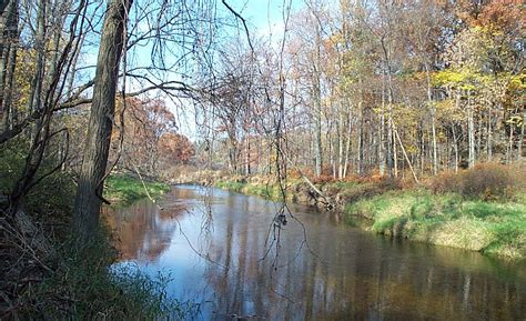 riverbelle|town of belle river.